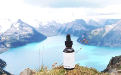 CBD Oil and Inflammation – How CBD Can Help