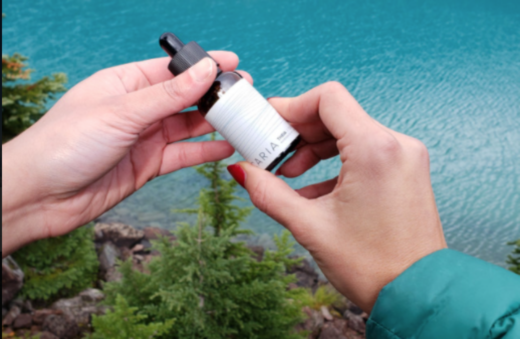 What is the Endocannabinoid System – How Does It Work with CBD?
