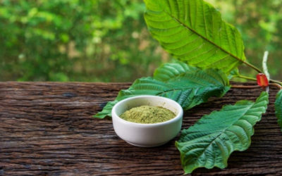 Kratom vs CBD: Advantages and Disadvantages