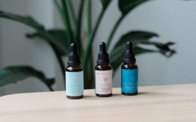 CBD Oil with Herbs: How does it Work?