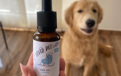 Is Pet CBD Safe For Humans?