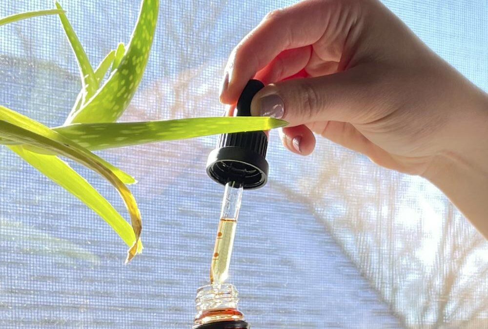 CBD for Beginners: A Comprehensive Guide to Getting Started